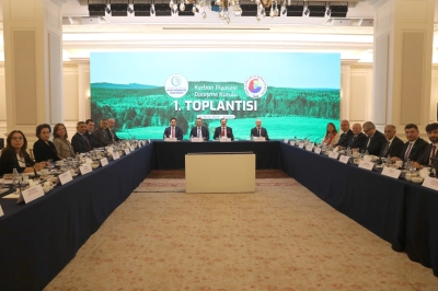 Karbon Piyasası Danışma Kurulu İlk Toplantısını Ger&ccedil;ekleştirdi