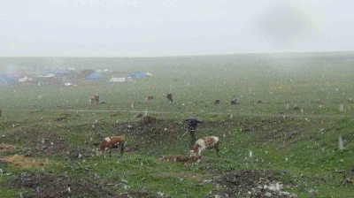 Kars&rsquo;ta Mayıs karı şaşırttı
