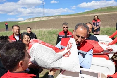 Kars&rsquo;ta yağlık ay&ccedil;i&ccedil;eği &uuml;retimi artıyor
