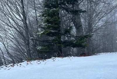 Kartepe beyaza b&uuml;r&uuml;nd&uuml;