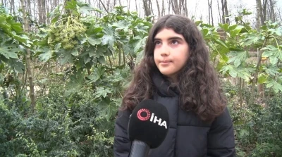 Kartepe&rsquo;deki kavganın en b&uuml;y&uuml;k mağduru &ccedil;ocuklar oldu: "Babama 5 kişi saldırdılar, kafasını ATV&rsquo;ye vurdular"