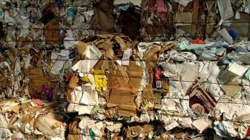 Karton ambalaj sekt&ouml;r&uuml; "Yeşil Dalga"yı radarına aldı