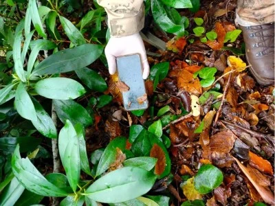 Kastamonu'da oğluyla birlikte &ouml;l&uuml; bulunan annenin cep telefonu da bulundu