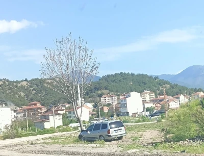 Kastamonu&rsquo;da otomobil ağaca &ccedil;arptı: 2 yaralı

