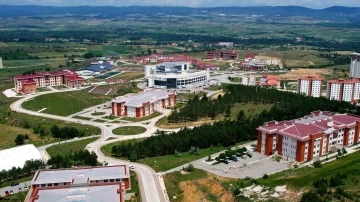 Kastamonu &Uuml;niversitesi, defne yaprağını analiz edecek
