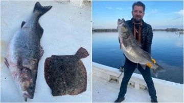 Kastamonulu balık&ccedil;ının ağına 11 kilogramlık levrek takıldı