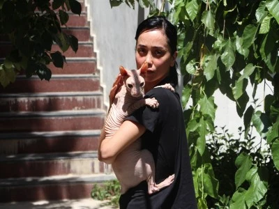 Kaybolan kedisi &lsquo;Odin&rsquo;i bulana 2 bin dolar &ouml;d&uuml;l verdi