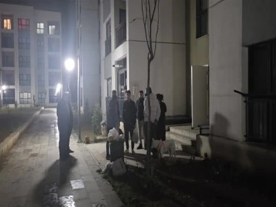 Kaybolan yavru kediler par&ccedil;alanmış halde bulundu