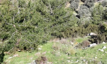 Kayıp iş&ccedil;inin arandığı b&ouml;lgede insan kemikleri bulundu