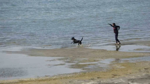 Kayıp &ouml;ğrenci Rojin i&ccedil;in AFAD&rsquo;dan k&ouml;pekli arama
