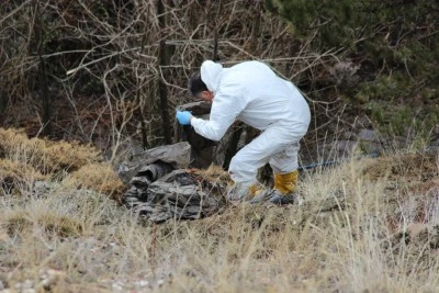 Kayıp olan yaşlı adamın cesedi par&ccedil;alanmış halde bulundu