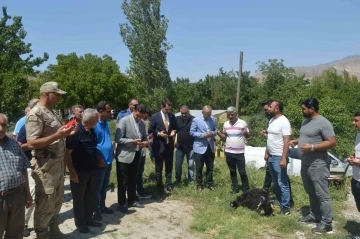 Kaymakam Yılmaz&rsquo;dan şehit ve gazi ailelerine ziyaret
