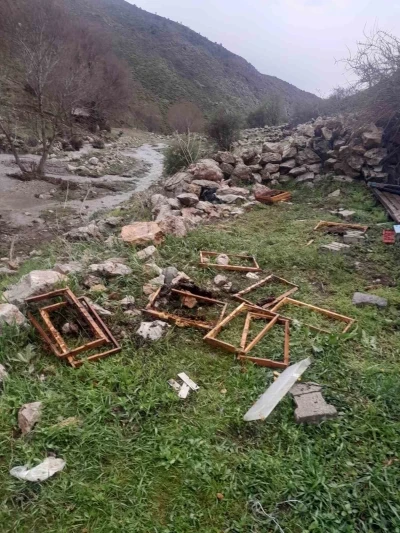 Kayseri&rsquo;de ayılar arı kovanlarına saldırdı
