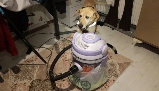 Torbacı operasyonu: 11 g&ouml;zaltı