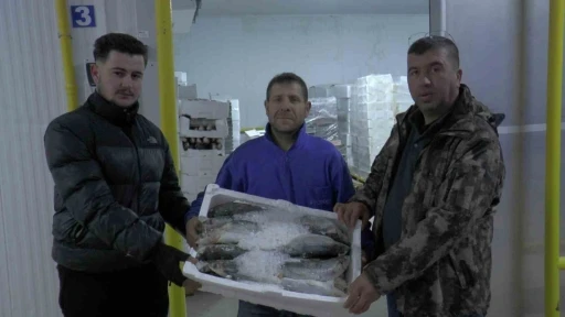 Kayseri&rsquo;den 6 &uuml;lkeye 10 bin 500 ton balık ihracatı
