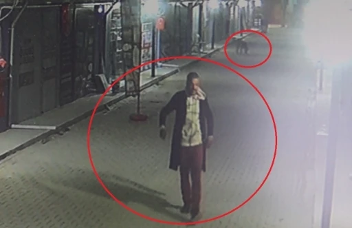 Kedileri k&ouml;peklere par&ccedil;alatan madde bağımlısı şahıs g&ouml;zaltına alındı