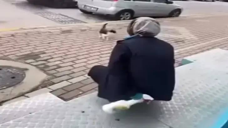  Kedinin y&uuml;z&uuml;ne sprey sıkan market &ccedil;alışanı g&ouml;zaltına alındı
