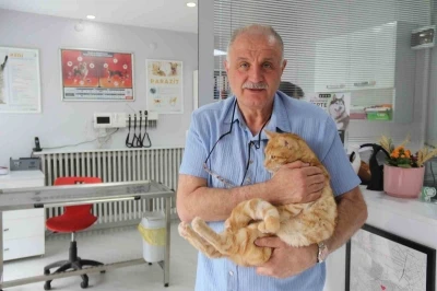 Kedisini veterinere yetiştirmeye &ccedil;alışırken trafik cezası yedi, itiraz etti

