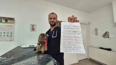 Kediyi not yazıp &ccedil;anta i&ccedil;inde veteriner kiliğinin kapısına bıraktılar