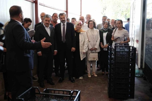 Bursa'da kendi &uuml;rettikleri meyve kasasından 3 milyon lira tasarruf ettiler