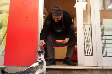 Kendi yemeyip yavrularına yiyecek g&ouml;t&uuml;ren anne kediye kasap şefkati
