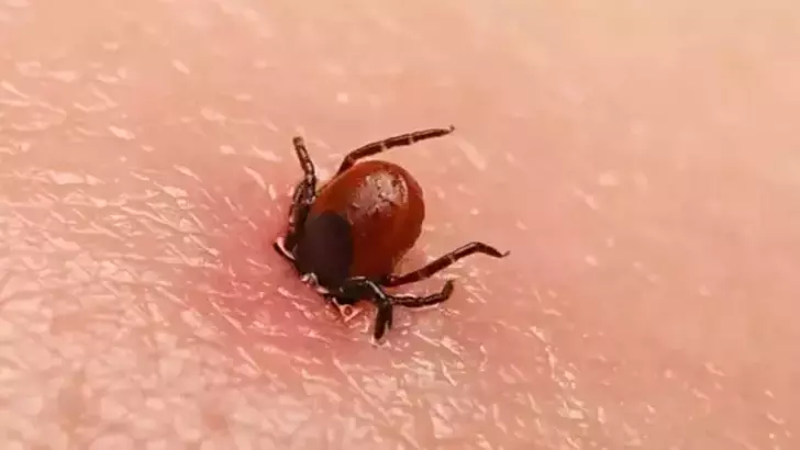 Kenenin ısırdığı kadın &ouml;ld&uuml;