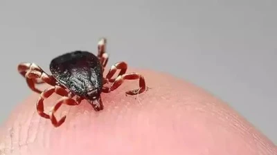 Kenenin yapıştığı yaşlı kadın &ouml;ld&uuml;, kentte &ouml;l&uuml; sayısı 8&rsquo;e ulaştı