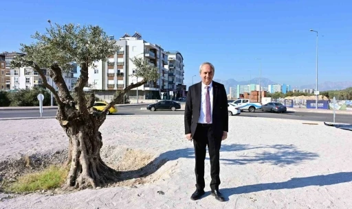 Kepez&rsquo;den &lsquo;ekolojik&rsquo; peyzaj
