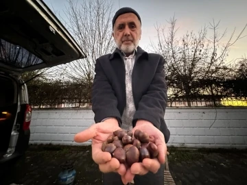 Kestane pişirmenin p&uuml;f noktaları