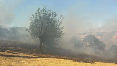 Kestel'de orman yangını 