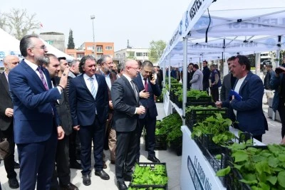 Kestel'de &uuml;reticiye 6 bin ahududu fidanı desteği