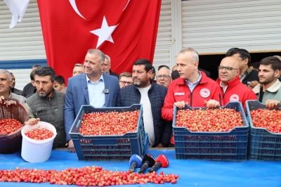 Kiraz İhracat&ccedil;ıları 200 Milyon Dolar İhracat Hedefiyle Sezona Girdi