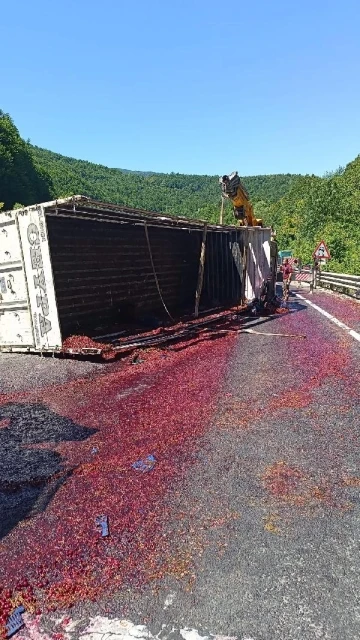 Kiraz y&uuml;kl&uuml; kamyon devrildi, s&uuml;r&uuml;c&uuml; yaralandı