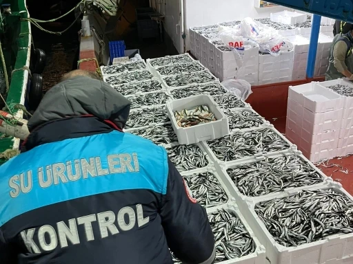 Kırklareli&rsquo;nde balık&ccedil;ılara kota denetlemesi
