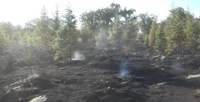 Kırklareli&rsquo;nin Y&uuml;ndalan k&ouml;y&uuml;ndeki orman yangını kontrol altına alındı