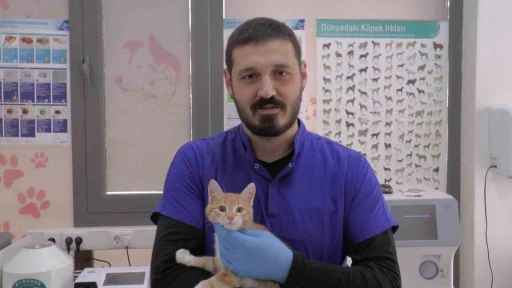 Kırsal b&ouml;lgelerde yaşayan vatandaşlar &lsquo;kurt&rsquo; uyarısı
