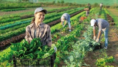 Kırsal kalkınmaya 12,5 milyar liralık hibe desteği
