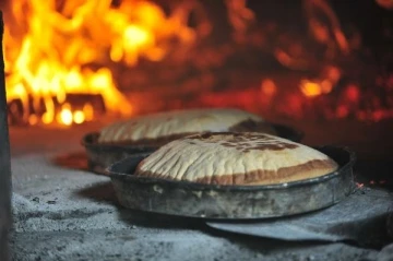 Kış uykusundan uyanan ayılar i&ccedil;in barınağa &lsquo;&ouml;zel fırın&rsquo;