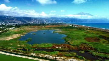 Kışın yağan yağmurlarla dolan kuş cenneti kavurucu sıcaklara g&ouml;&ccedil;men kuşlara ev sahipliği yapıyor
