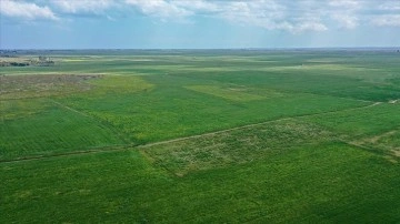 KKTC'deki tarımsal kuraklığa, T&uuml;rkiye'den boru hattıyla getirilen su &ccedil;are olacak