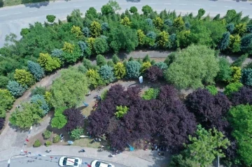 Kocaeli&rsquo;de kişi başına d&uuml;şen yeşil alan 13,5 metrekareye &ccedil;ıktı
