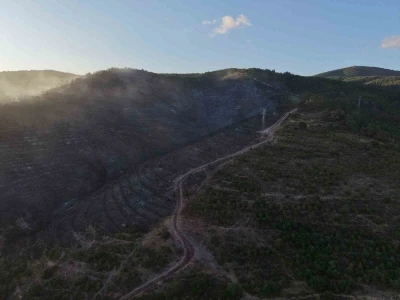 Kocaeli&rsquo;deki orman yangını s&ouml;nd&uuml;r&uuml;ld&uuml;