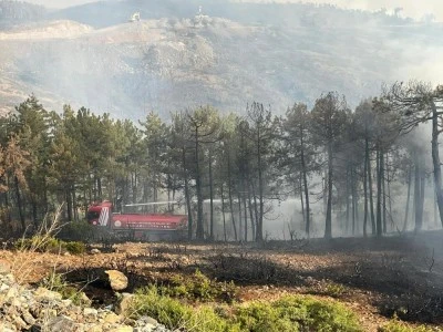 Kocaeli'den Bursa'daki orman yangınına s&ouml;nd&uuml;rme desteği