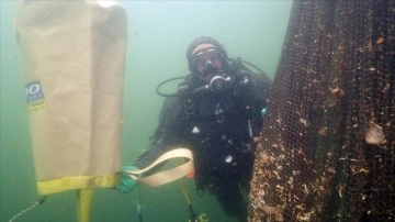 Kocaeli'de "hayalet ağlar"ın temizlenmesi su altında g&ouml;r&uuml;nt&uuml;lendi