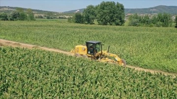Kocaeli'de işlenen nane, biberiye ve oğul otundan 70 &ccedil;eşit &uuml;r&uuml;n elde ediliyor