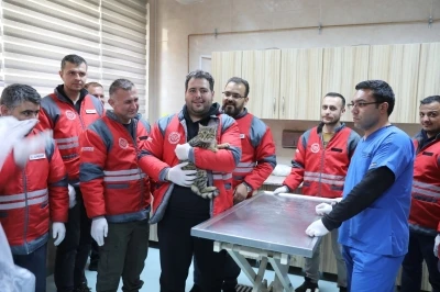 Kocasinan Belediyesi&rsquo;nden veterinerlik personeline sertifikalı eğitim
