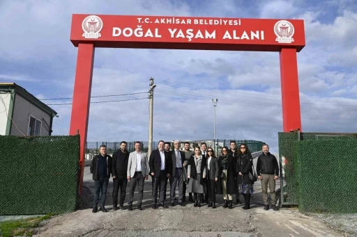 Komisyon &uuml;yeleri sokak hayvanları i&ccedil;in Akhisar&rsquo;da toplandı
