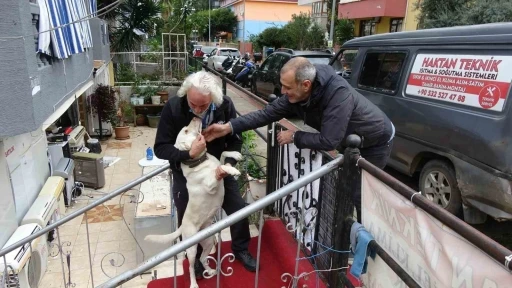 Komşuların rahatsız olduğu labrador cinsi k&ouml;pek i&ccedil;in sahibinden pankartlı tepki
