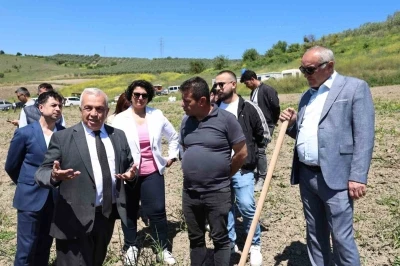 Konaklı&rsquo;da 800 zeytin fidanı toprakla buluştu
