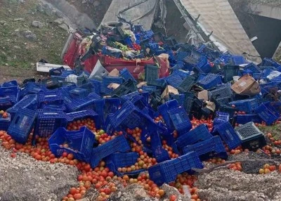 Kontrolden &ccedil;ıkan sebze y&uuml;kl&uuml; tır devrildi: 1 yaralı